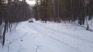 Toyota RAV4 на бездорожье в зимнем лесу