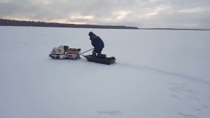 Покатушки на мото собаке * Ураган*.