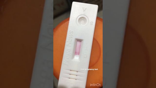 Live Pregnancy Test