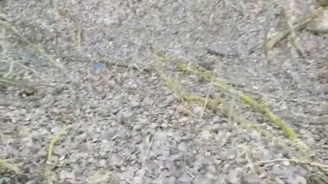 ПЛОХОЕ СОСТОЯНИЕ МЕЛИОРАЦИИ. ЗАБРОШЕННЫЙ МЕЛИОРАТИВНЫЙ КАНАЛ. смотреть онлайн