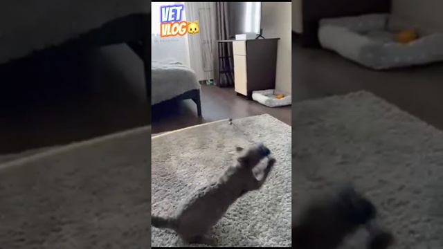 Разбор клинического случая пациента с миопатией 🧐