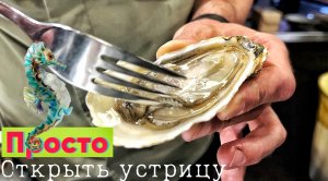 Как открыть устрицу