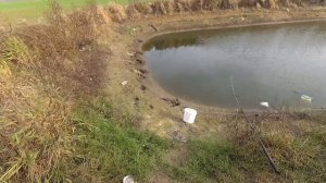 Ловля живца на экран (телевизор) и на молявочник. Эффективность снастей.