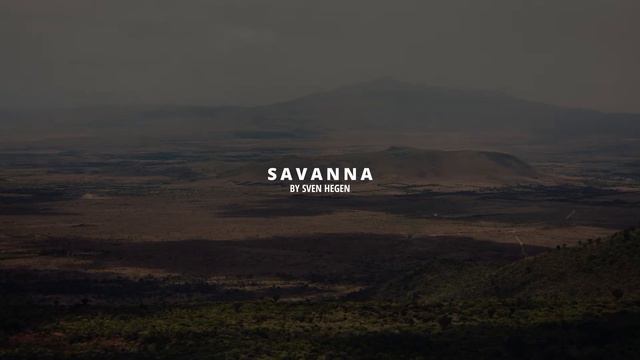Epic Orchestral Music - SAVANNA смотреть онлайн