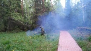 Обработка участка от комаров.