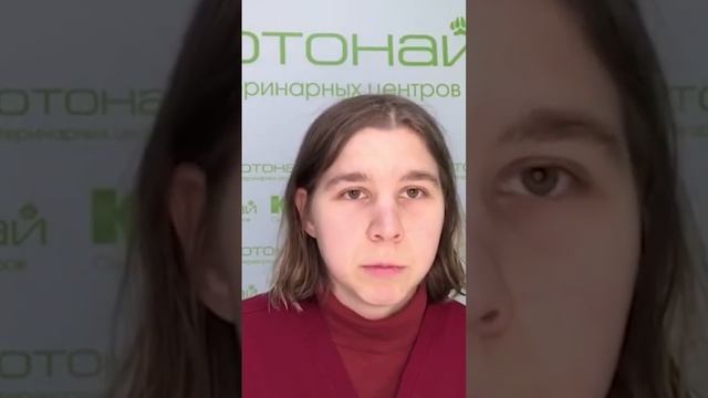 Если Собака подавилась - что делать ?!