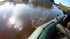 Рыбалка на щуку на реке Омь осенью.