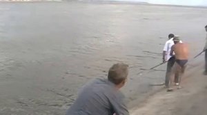 Сом.Рыбалка на Волге под Ульяновском