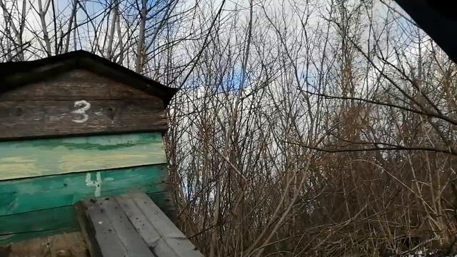 ПРОВЕДАЛ ДЕРЕВНЮ смотреть онлайн