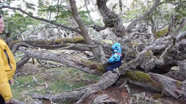 ночевка 25 января, Огненная Земля смотреть онлайн