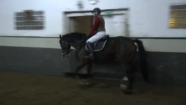 Веласкес рысь под седлом смотреть онлайн