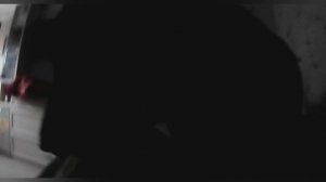 День рождения немецкой овчарки!1 ГОД Альфе!Пранк над овчаркой.Сделала торт