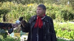 Поздний сорт капусты "Циклоп"