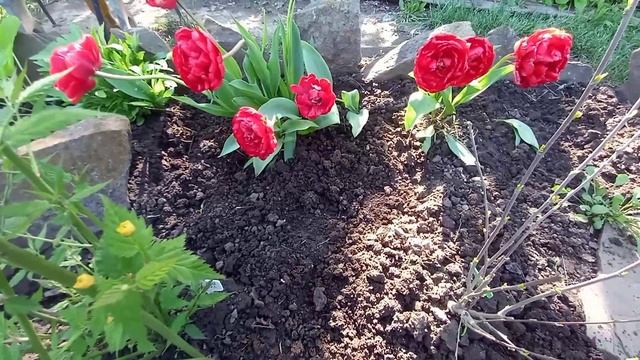 Стихи о любви/Автор Людмила Шкилёва/Солнышко ну где ты??Poems about love