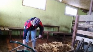 Самый удобный сарай для коз