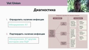 Вирусный иммунодефицит кошек
