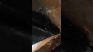 Отзыв о банной печи Термофор Баррель Витра