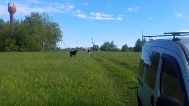 КОПАРИ  на букву М.