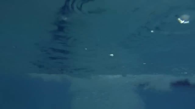 Как плавать под водой смотреть онлайн