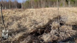 Испытания нового металлоискателя, симплекс плюс.