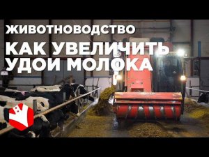 Как увеличить удои молока? | Самоходные смесители-раздатчики корма | Молочное животноводство