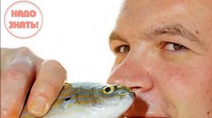 Почему рыба пахнет?