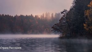 Сваты хотели высмеять и унизить мать невесты, но бедная женщина не растерялась...