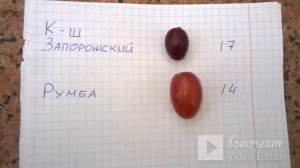 Содержание сахара в винограде.  Влияет ли на вкус ?