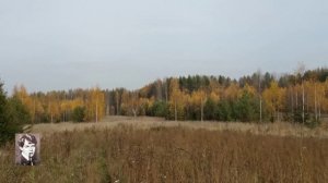 Разбуди меня завтра рано... С. Есенин. стихи.