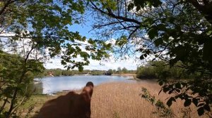 1137, 16.05.2021, два пруда в Касьяновке, Орловский район, деревня, Касьяновка, карьерные, пруды,