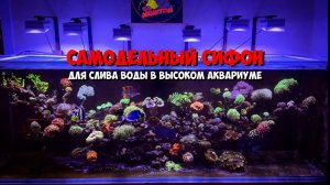 Самодельный сифон | Подмена 100л в неделю