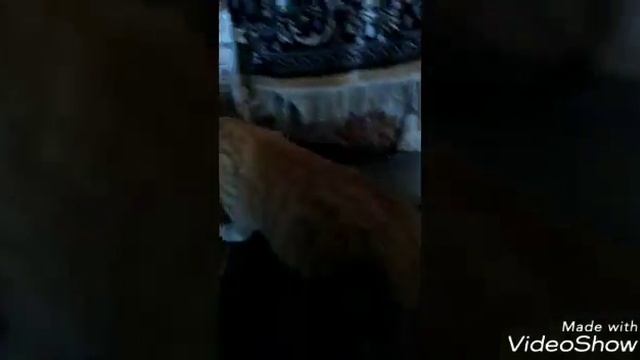 Приключения Тома#2 Нечего делать! смотреть онлайн