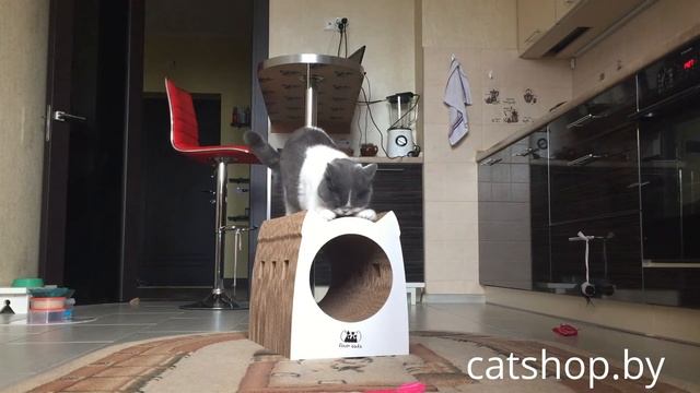 Когтеточки и домики для кошек FOUR CATS смотреть онлайн