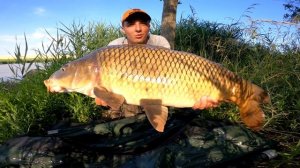 Ловля карпа и амура на кукурузу. Начался клёв с самого утра. Рыбалка с ночёвкой