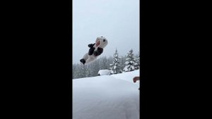 Блогер Сергей Косенко кинул 2-месячного малыша в снег. Ребёнок ушёл в сугроб с головой