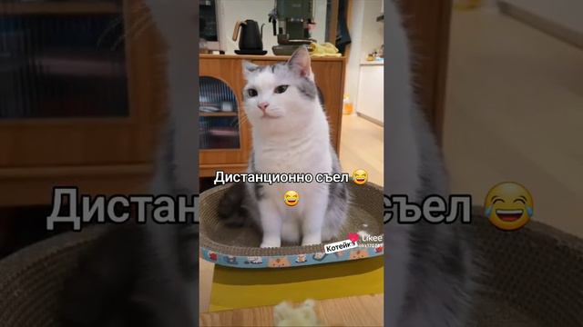 1000002493.mp4 смотреть онлайн