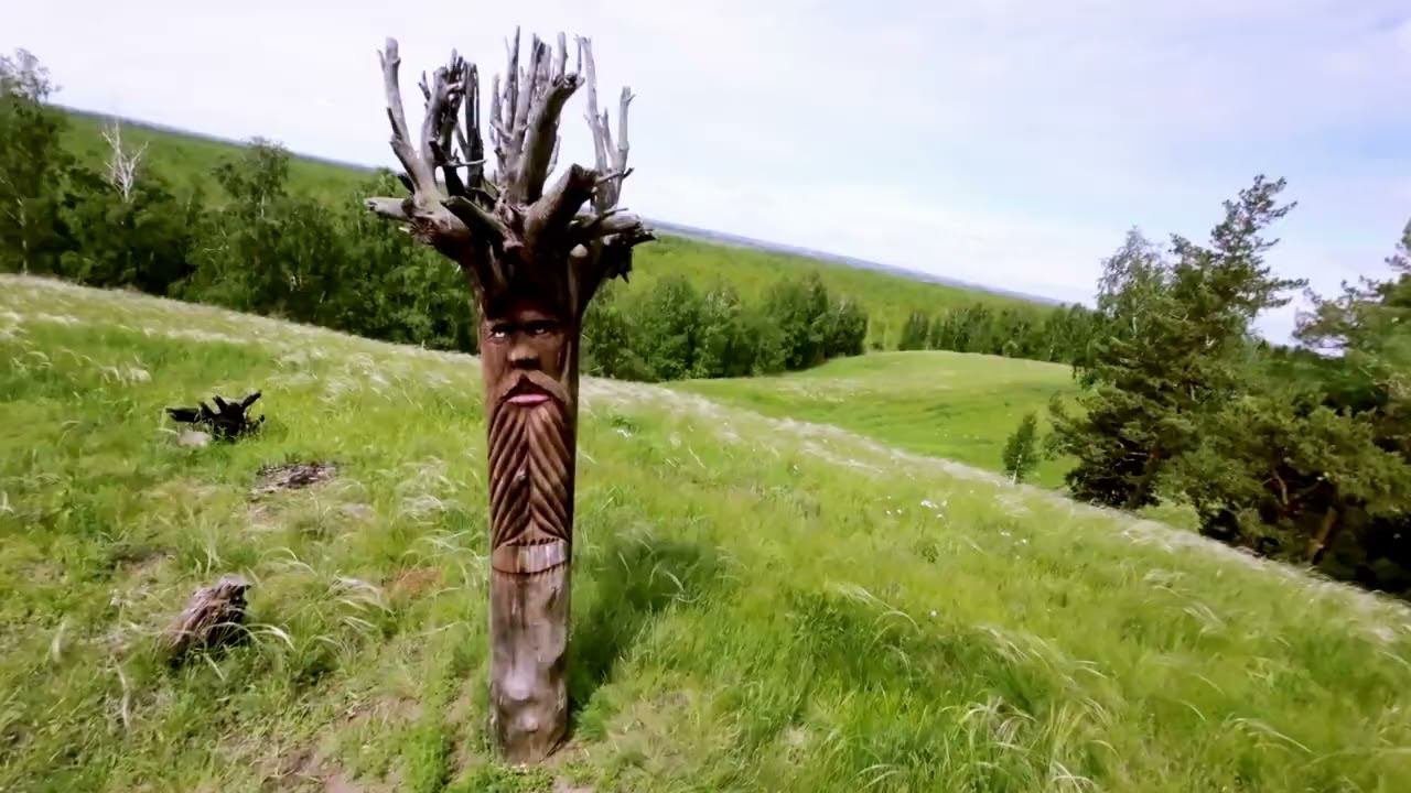 ковыль