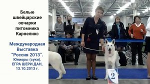 Международная выставка "РОССИЯ 2013". 19 октября 2013г.