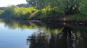 Любимая река Орша. Тверская область.