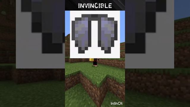 What is mincraft Farland | Minecraft Farland kya hai| | invincible yt