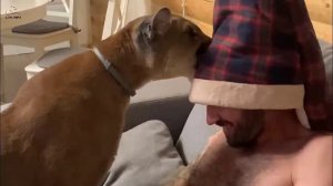 «Снимите это немедленно» с пумой Месси