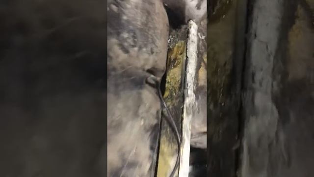 Установил на ниву печку с ваз 2109 и многое другое смотреть онлайн