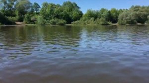 Первые впечатления от мотора SUZUKI 9.9 AS (15) Лодка RiverBoats 330 НДНД 2018 год