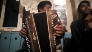 Цыган играет на бояне красиво