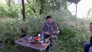Как из лесу выйти