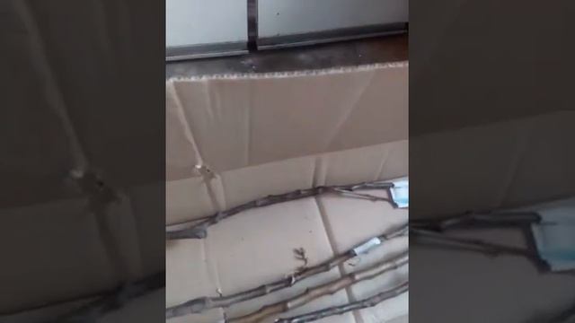 Отзывы Агромаркет (відгуки) смотреть онлайн