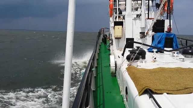 Путешествия Ярикакатер Ярославец проект РМ 376 1988г выпуска работает на государство.