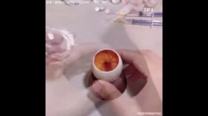 Развитие зародыша в яйце