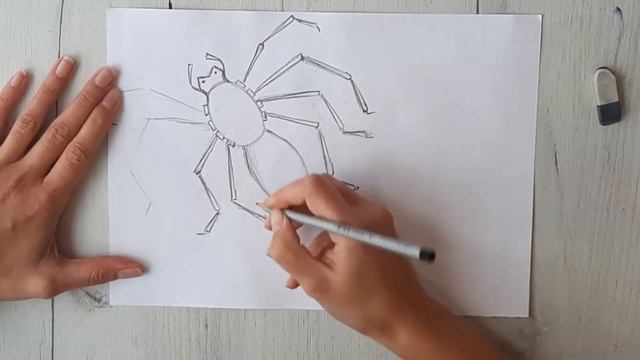 Как нарисовать паука на Хэллоуин. Рисуем паутину. Рисуем паука. смотреть онлайн