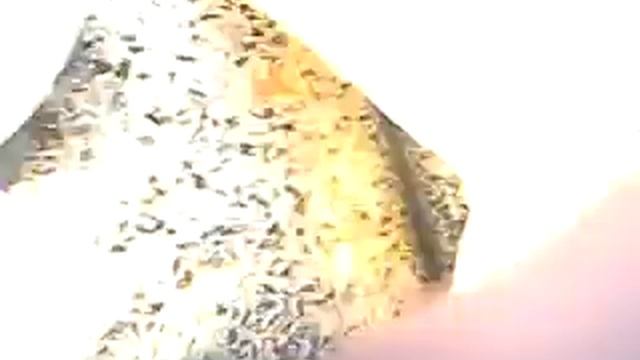 video0018 вешенка это интересно и просто